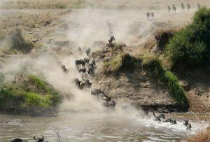 Ndutu Migration Safari & Ngorongoro 