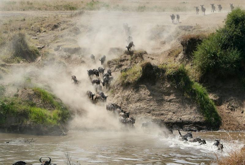 Ol Pejeta, Samburu, L.Nakuru, L.Naivasha & Masai Mara
