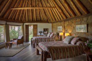 Trips Ideas For Africa