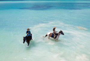 Kenya Private Safaris
