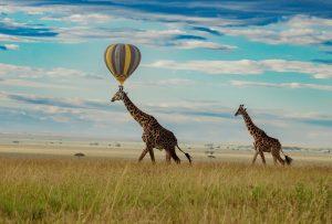 Lake Manyara, Serengeti, Ngorongoro & Tarangire Safari 